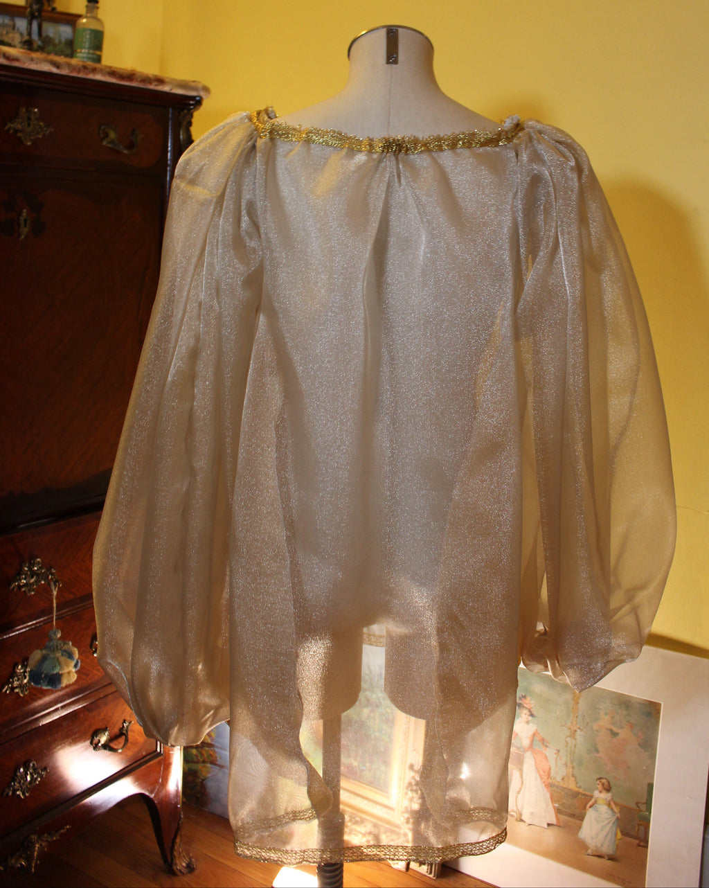 Queen Astraea's Organza Chemise